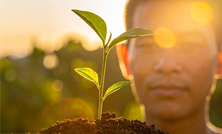 How It Works illustration